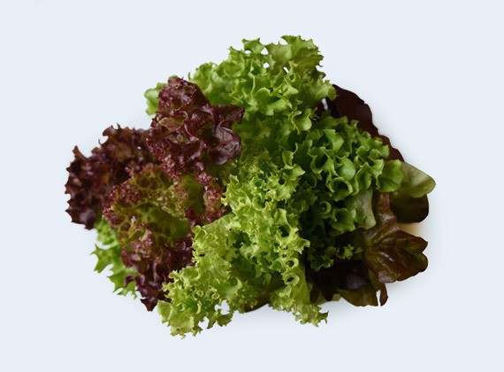 miesany-salat