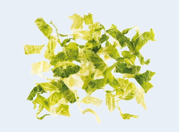 rimsky-salat